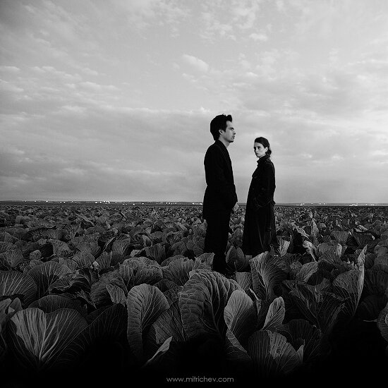 Vladislav Mitrichev's photo