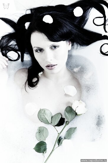 Pantera's photo