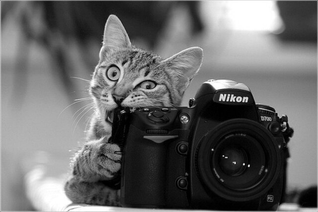 Daniil Varyagov's photo