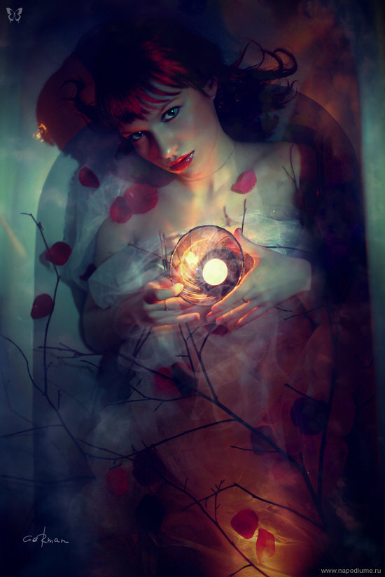 wild roses grow