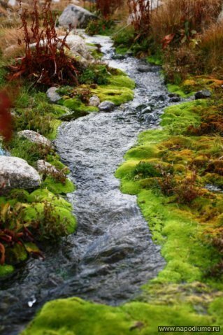 Nature