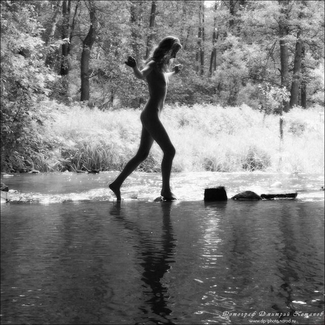 Dmitry Potapov's photo