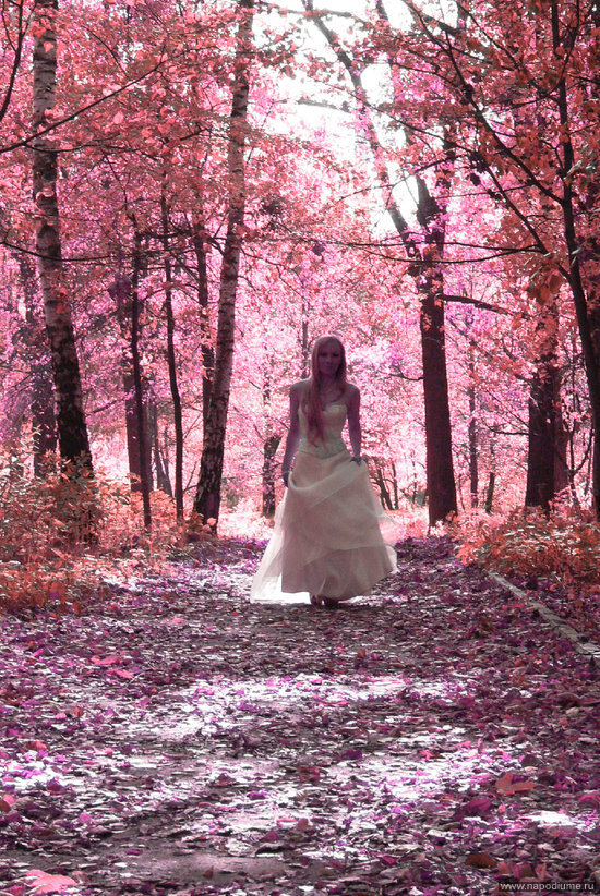 Alisa Litvinova's photo
