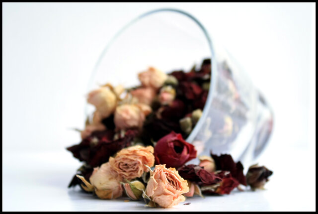 Elena Gromova's photo