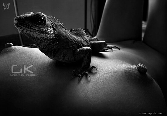 Gassan Kerimov's photo