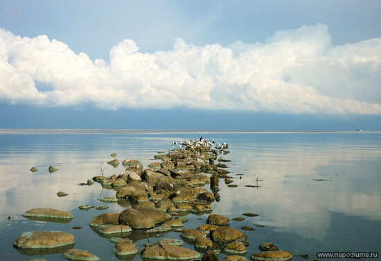 Ilona Marchenko's photo