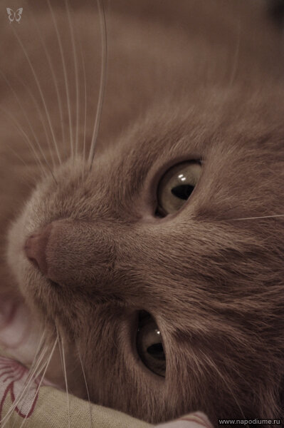 Jane Trifonova's photo
