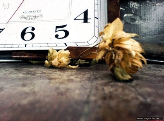 Yulia Mamkeeva's photo