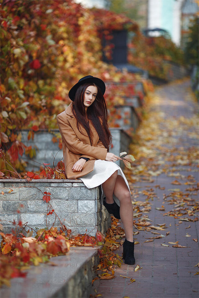 Dmitrij Plehanov's photo