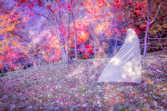 Фото Liliya Olkhovaya