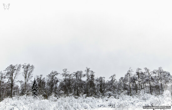 Фото Misha smisha Shipilov