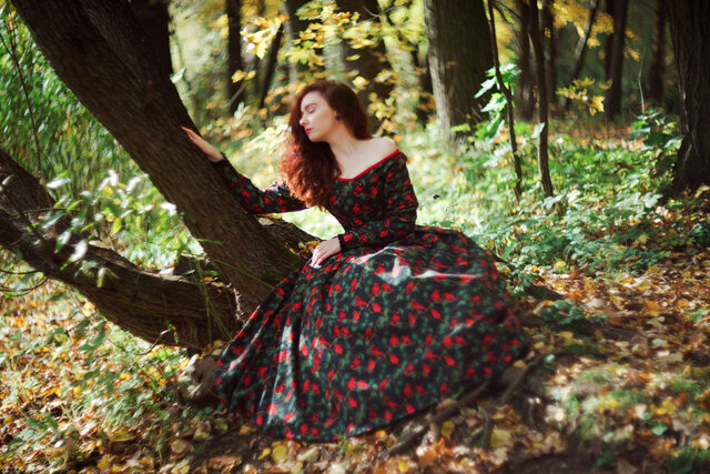 The song of the birds