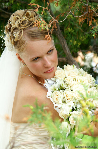 Vladimir Gersfus's photo