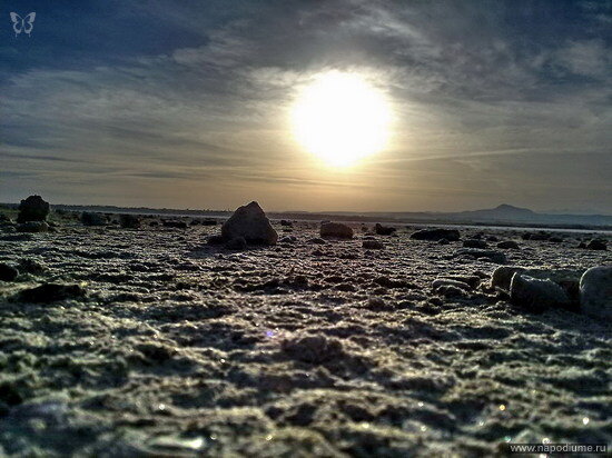 Nikita Orlov's photo