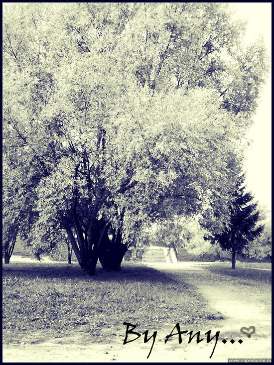 Фото Барковская Анна