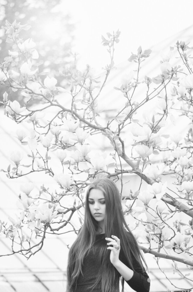 Brunette, Lady, Girl, Blossom, Flowers, Beauty