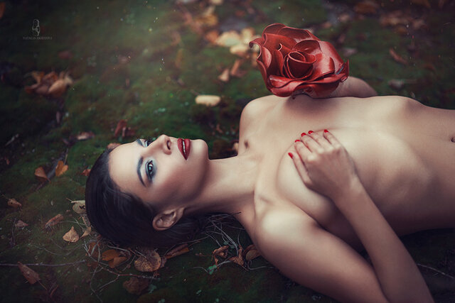 Wild rose