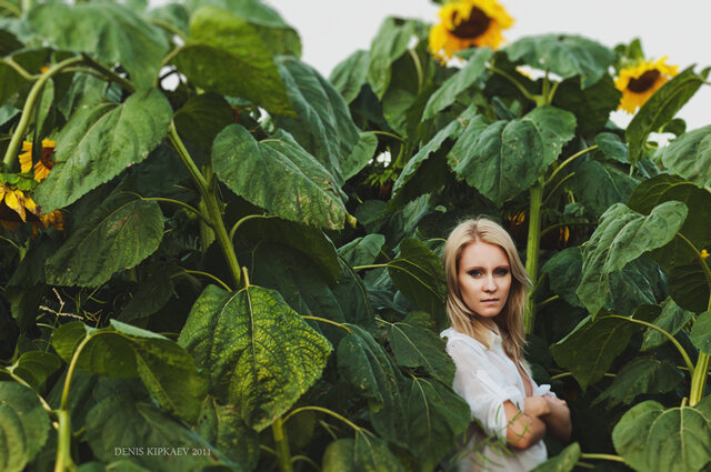 Denis Kipkaev's photo