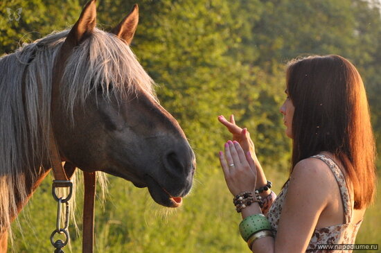 Maria Zaharova's photo