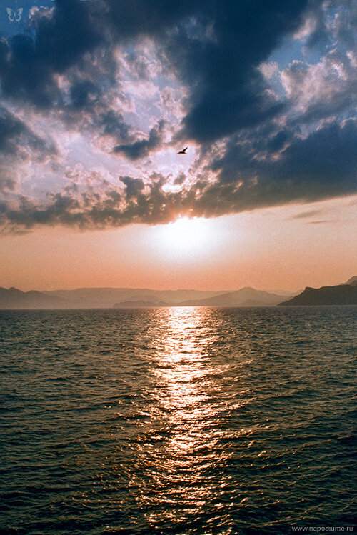 Andrej Vojcehov's photo