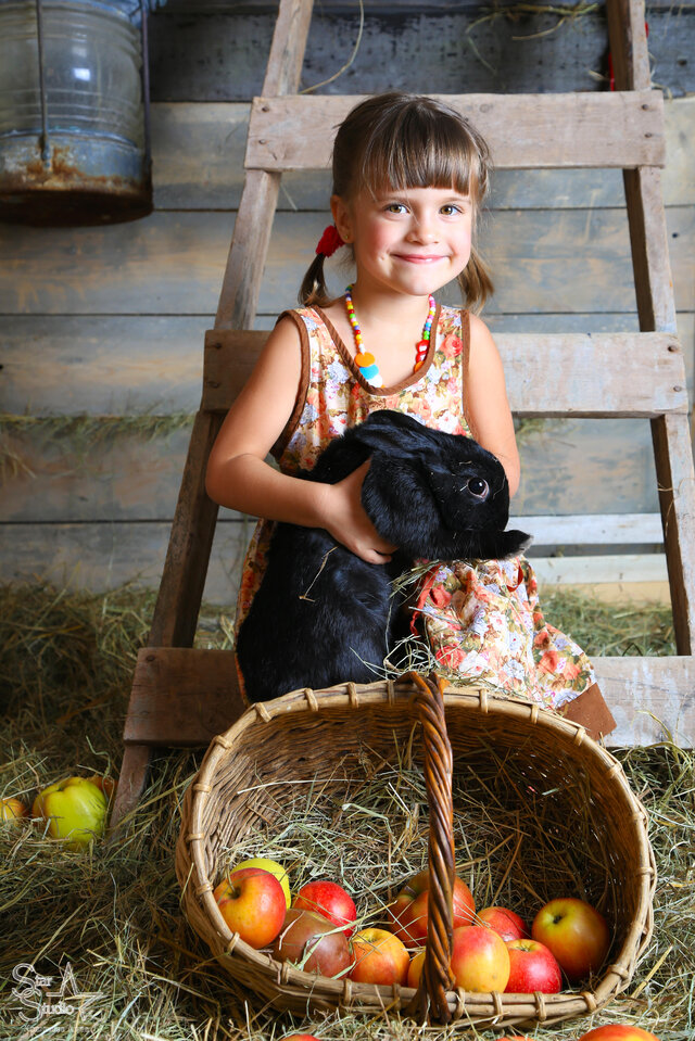 Foto Veronika Borisova
