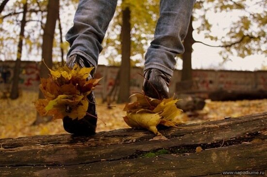 Ksenia Mihajlova's photo