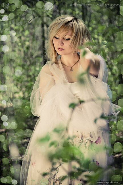 Aleksandr Sergeev's photo