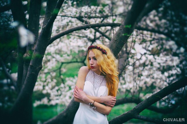 photo by Chivaler