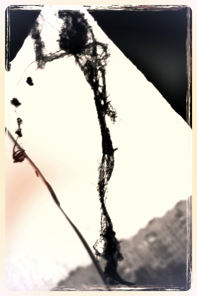 Spase Maker's photo