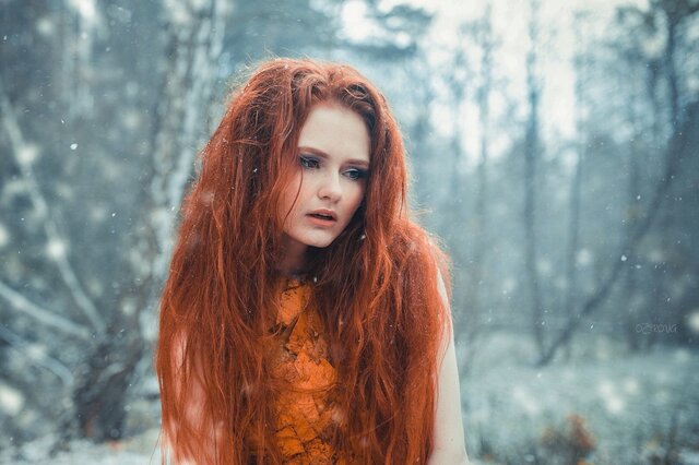 Фото Елена Шабалова