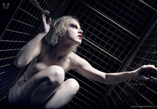 Sergey Kaminsky's photo