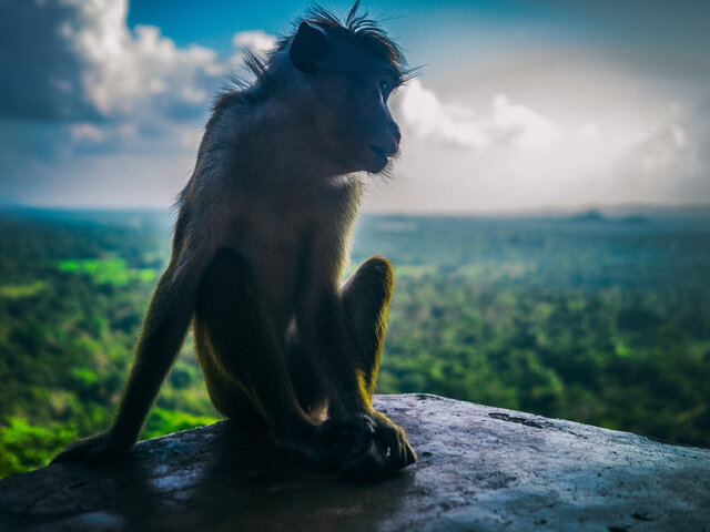 Фото Ruslan Shatskih