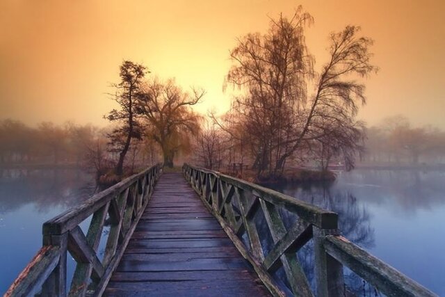 Petr Sidenko's photo