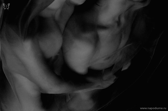 Mina Sorvino's photo