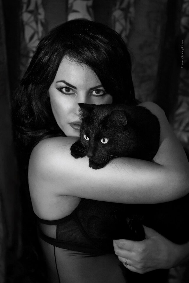 Мой любимый котище. Кот Флеш.