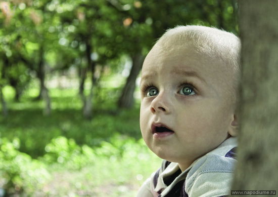 Фото Алексей Волошин