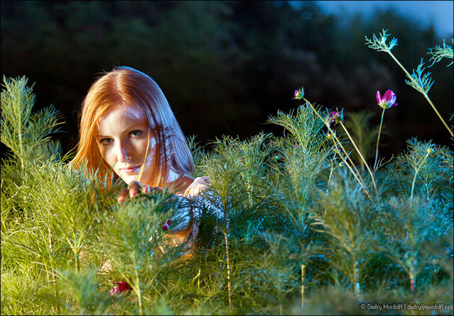 Dmitry Mordolff's photo