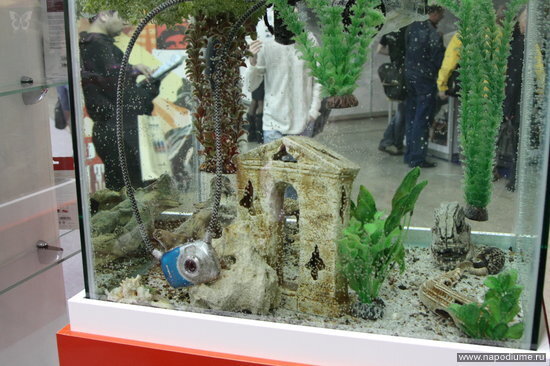 Aleksandr Urickij's photo