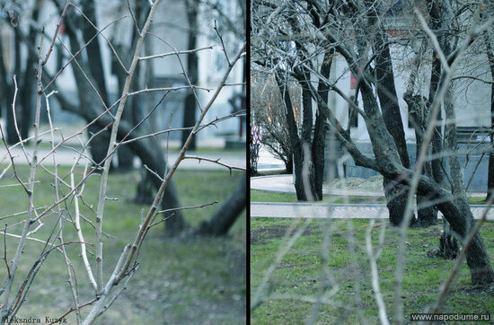 Фото Александра Кузык