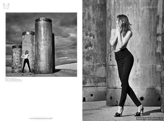 Reza Golestani's photo