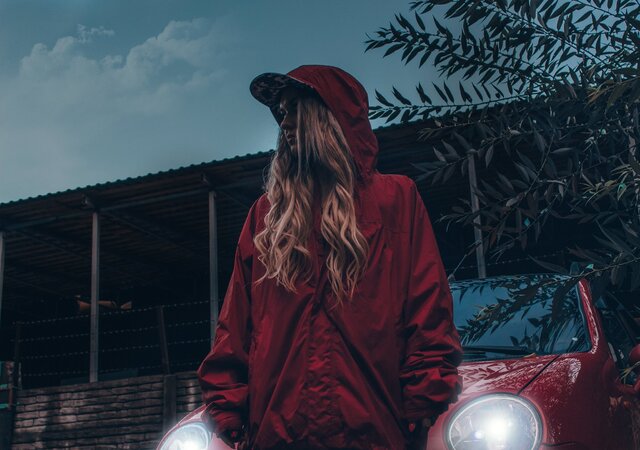 Фото Платон lebedx Лебедь