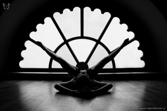 Dmitry Alekseyev's photo