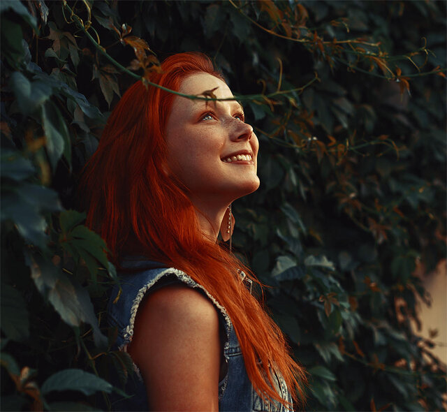 Dmitrij Plehanov's photo