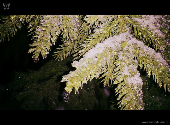 Ksenia Nikitina's photo