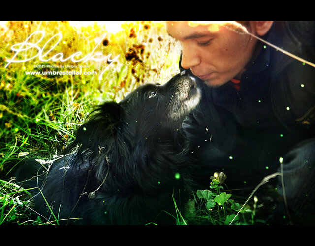 Blacky & Umbra, 2015