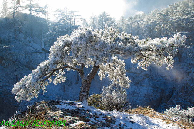 Aleksandr Kovlagin's photo