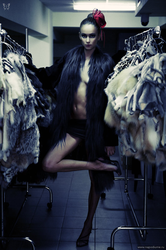 Maksim Amburg's photo