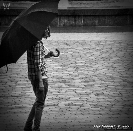 Nasta K's photo
