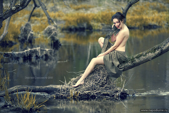 Фото Laura Kogan