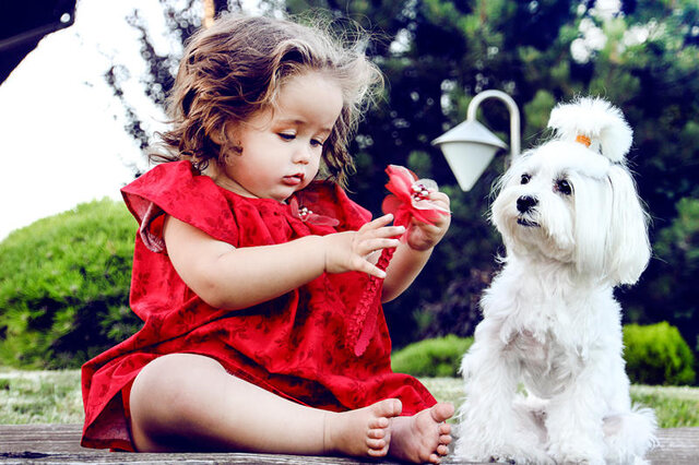 daria veleva's photo